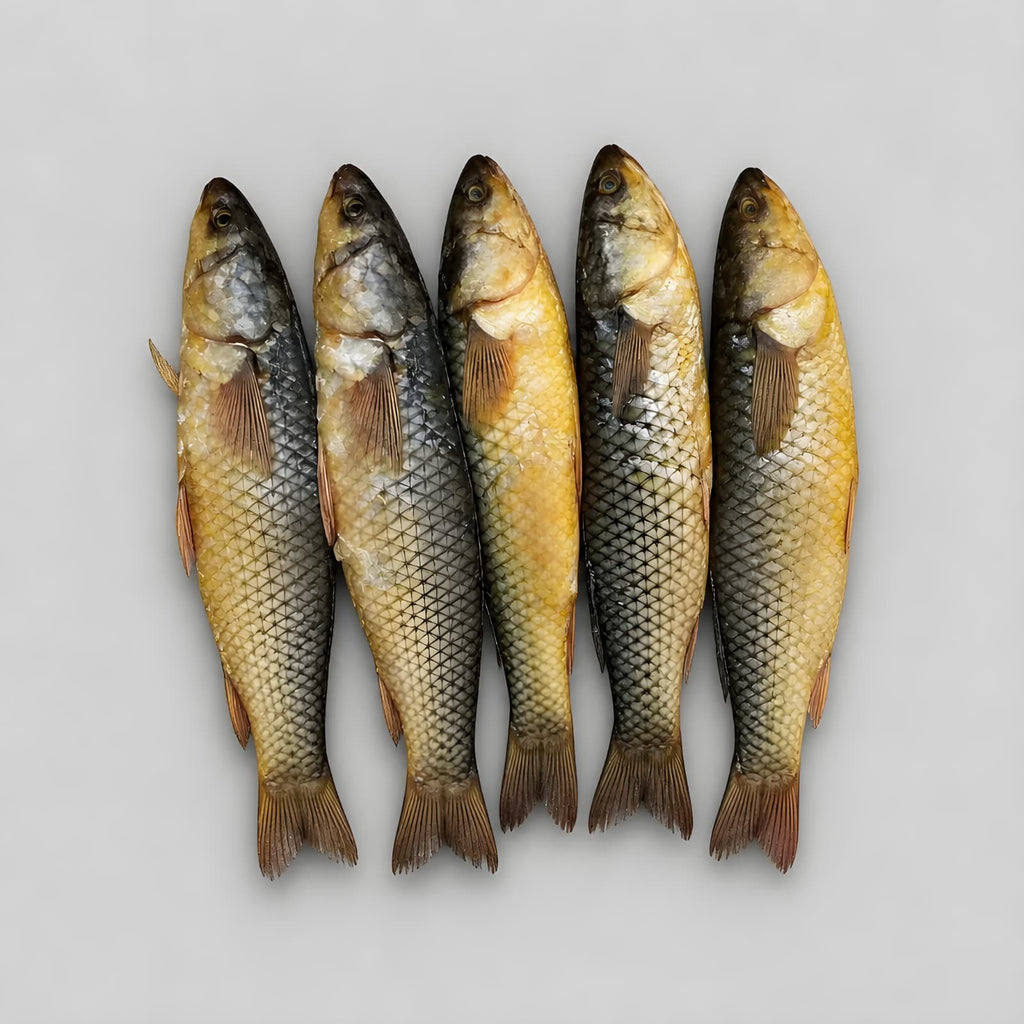 Hot Smoked Mullet (Kifal)
