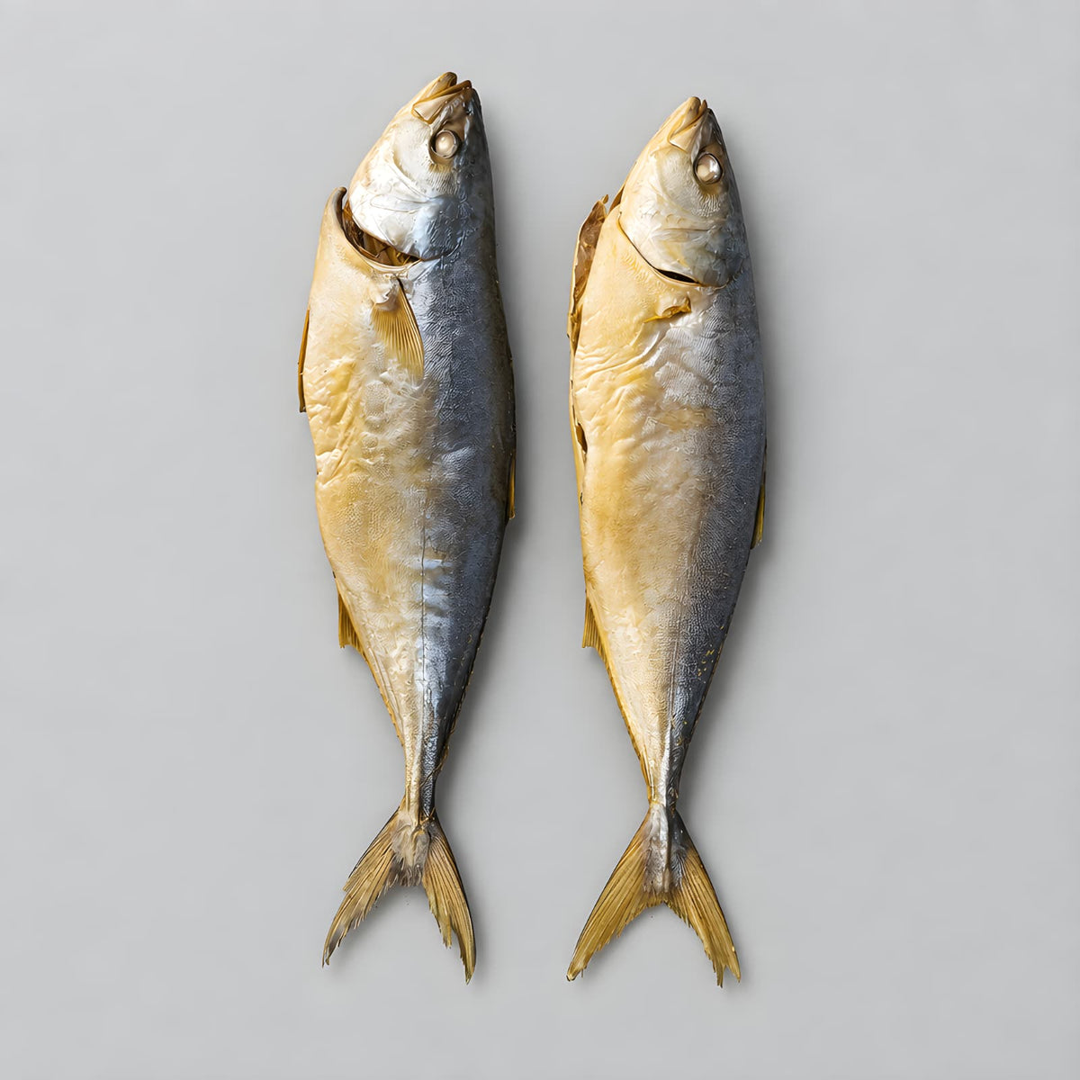 Cold Smoked Hamachi (Yellowtail)