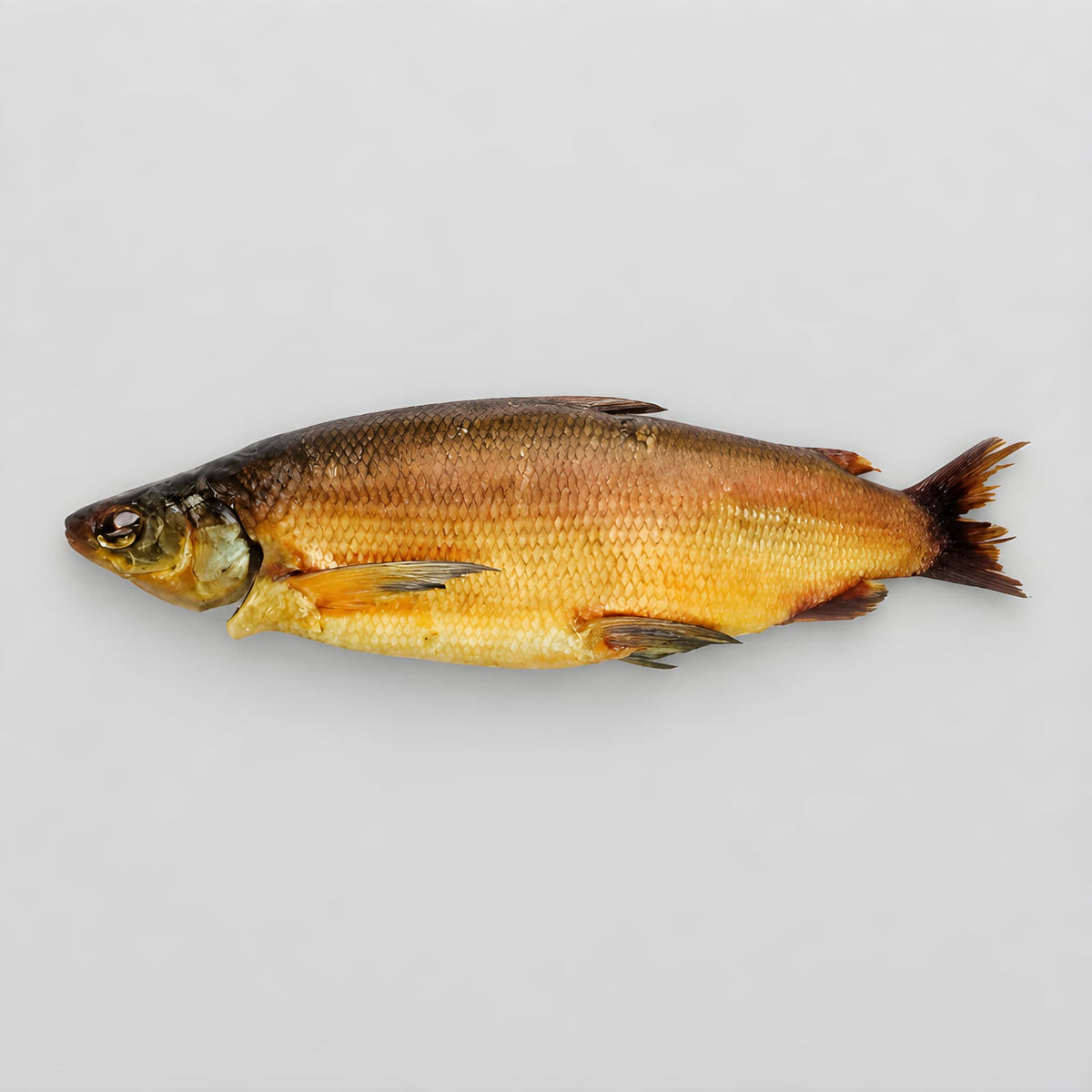 Cold Smoked Muksun from Siberia, Lake Biakal
