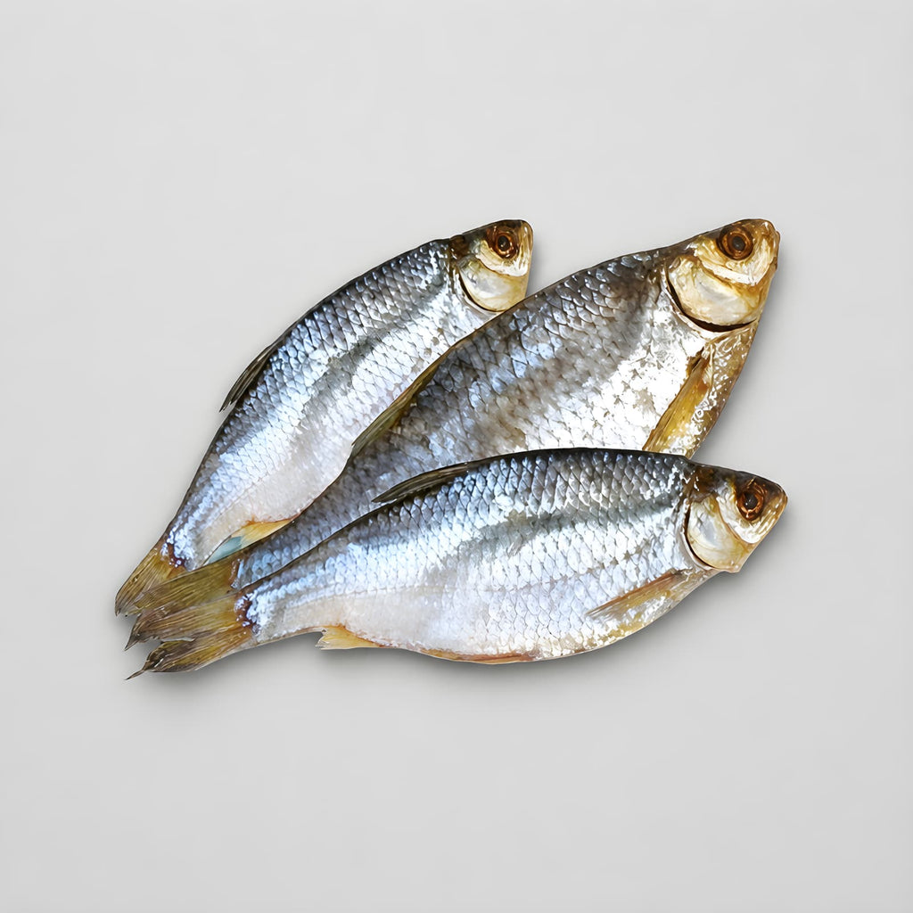 XL Sea Roach "Taranka" (Semi Dry still moist) Low Salt NO CAVAIR from Ukraine