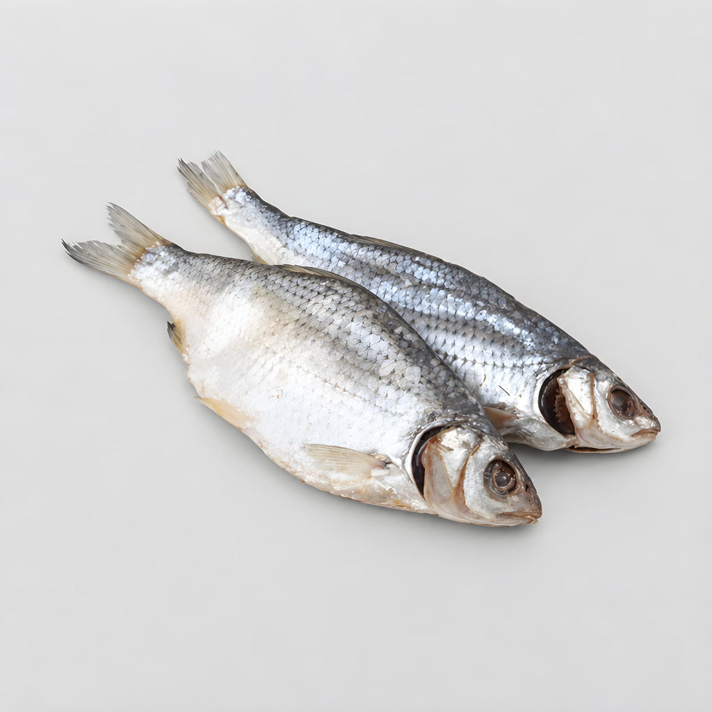 XL Roach "Vobla" (Semi Dry still moist) Low Salt NO CAVAIR from Ukraine