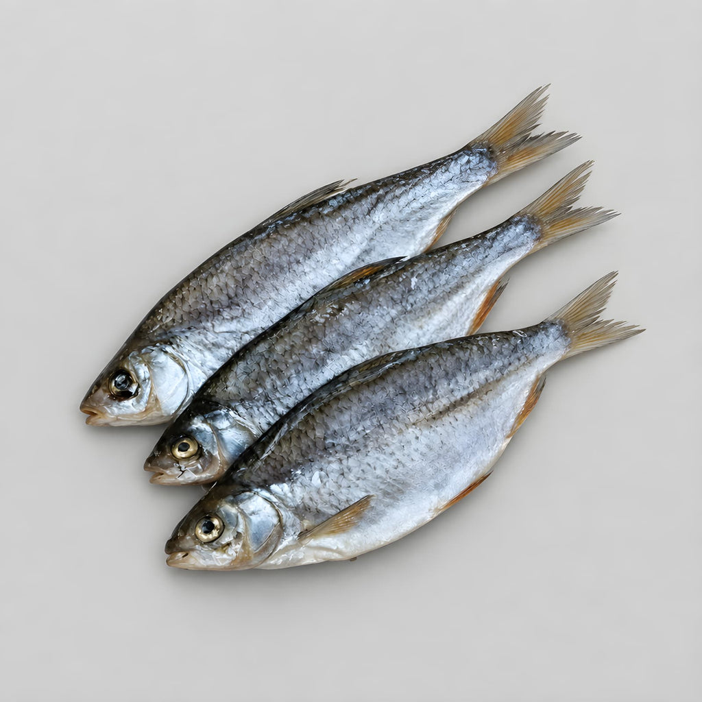 Sea Roach with Caviar "Taranka" from Ukraine (100% with caviar) Semi Dry Low Salt "Top Quality"