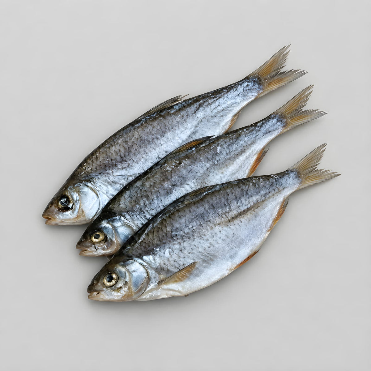 Sea Roach with Caviar "Taranka" from Ukraine (100% with caviar) Semi Dry Low Salt "Top Quality"
