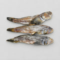 Large Dried Gobies ( Bychki ) 20% with Caviar inside from Ukraine