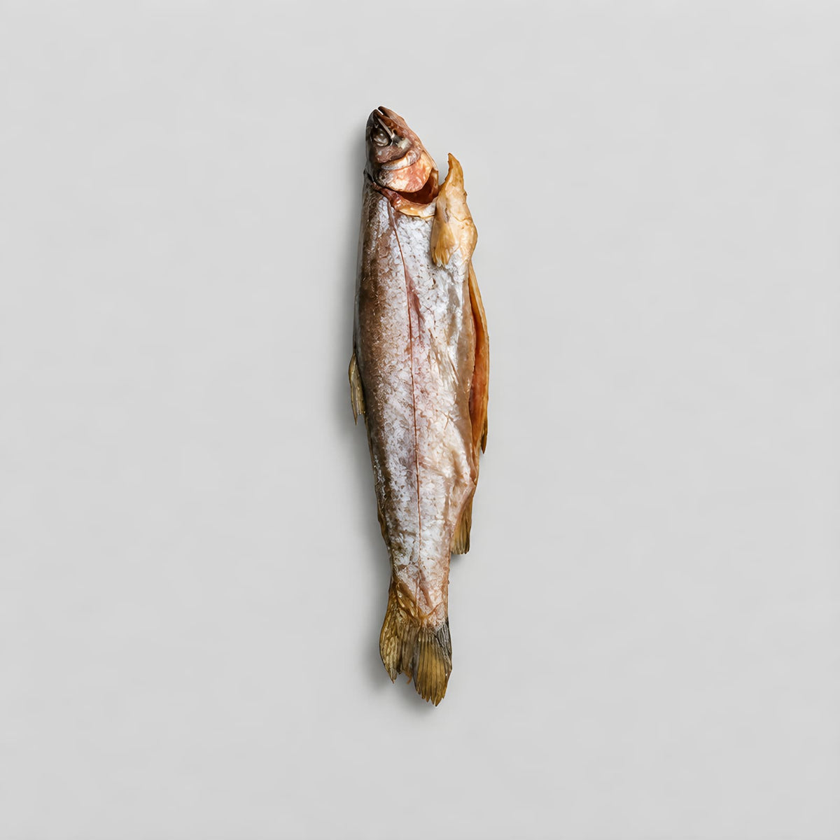Cold Smoked Baby Steelhead Trout