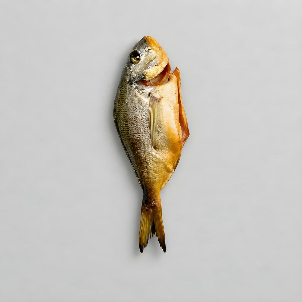 Cold Smoked Dorado